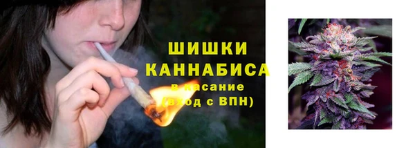 apvp Аркадак