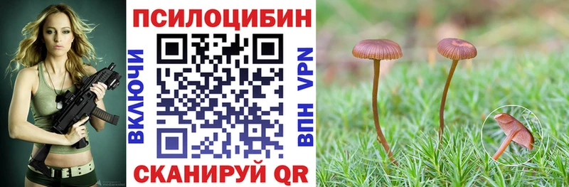 Псилоцибиновые грибы мухоморы  Новороссийск 